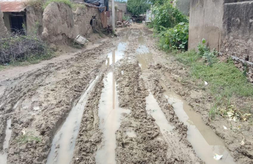 Dengue Outbreak in Tonk: Nagar Village Battling Fever as Health Dept Sleeps