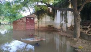 Bhind: Floodwaters Recede, but Stench and Disease Spread in Villages