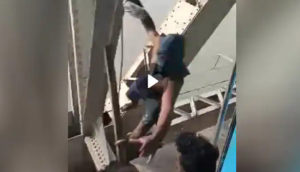 Cliffhanger Stunt: Man Hangs from Bridge, Snatches Phone from Speeding Train!