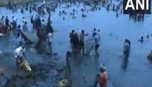 Tamil Nadu: Villagers celebrate centuries-old fishing festival at Kallandhiri village