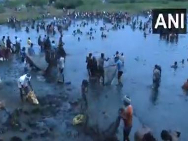 Tamil Nadu: Villagers celebrate centuries-old fishing festival at Kallandhiri village