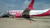 SpiceJet to add 100 additional daily flights in winter schedule amid IndiGo disruption