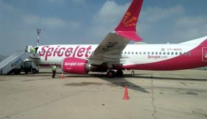 SpiceJet to add 100 additional daily flights in winter schedule amid IndiGo disruption