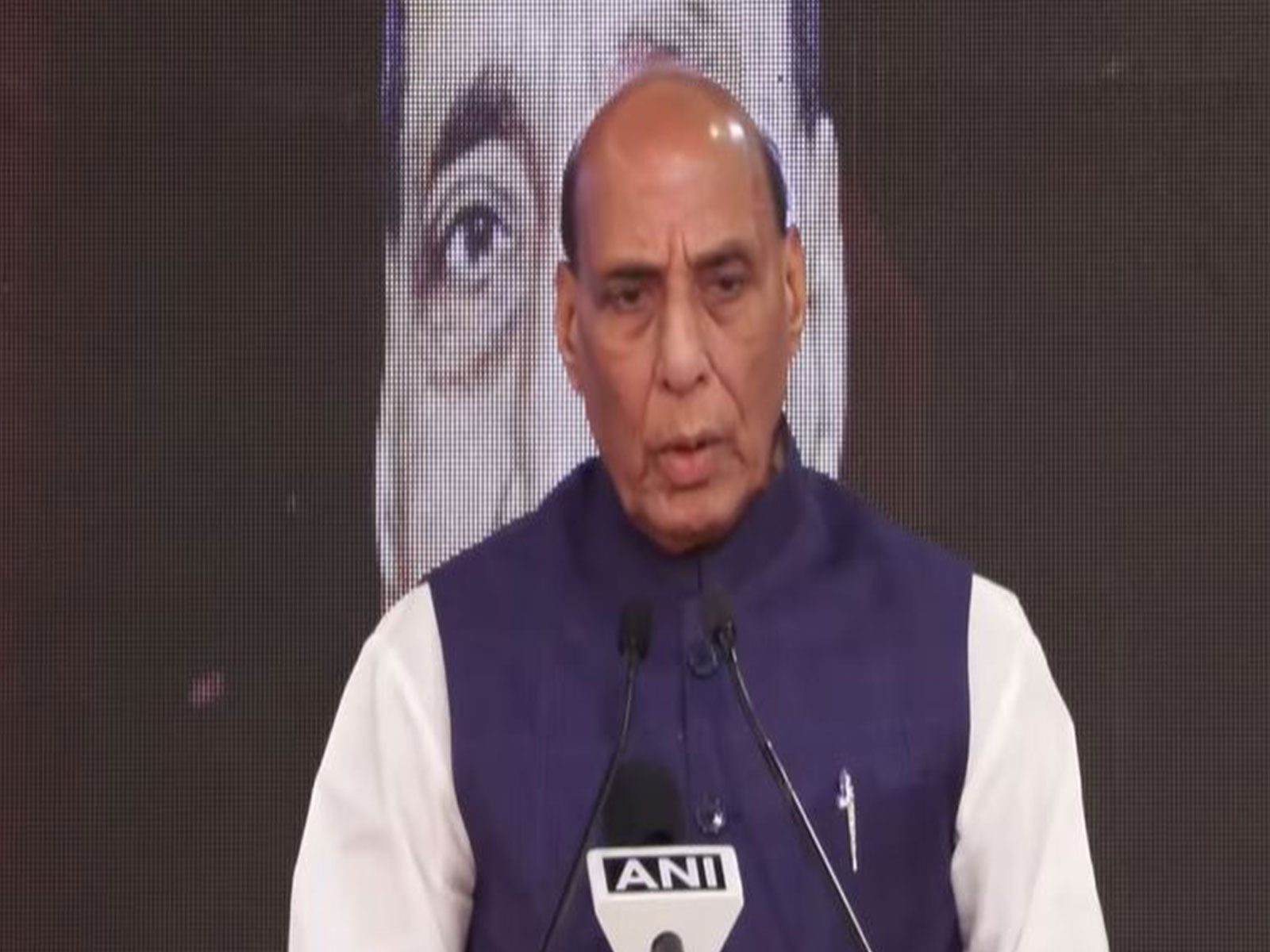 'AI like Bhasmasur, can't just see rosy picture': Defence Minister Rajnath Singh