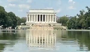 Lincoln Memorial Reflecting Pool Swamped by Algae After $14 Million Renovation