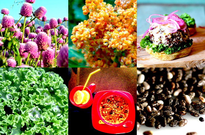 Get smart, dump the quinoa: 4 Indian superfoods you should know