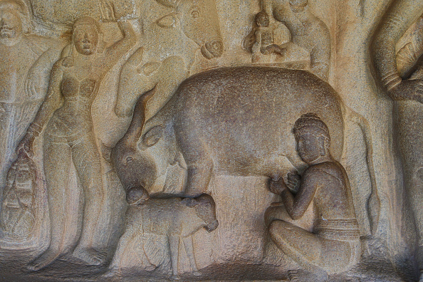 COW_India, Tamil Nadu, Mahabalipuram, Descent of the Ganges. (Photo by: JTB/UIG via Getty Images)