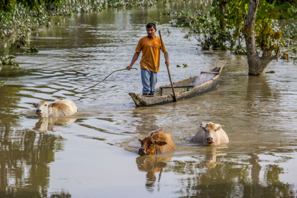 Assam Floods_y Luit Chaliha/Pacific Press/LightRocket  via Getty Images