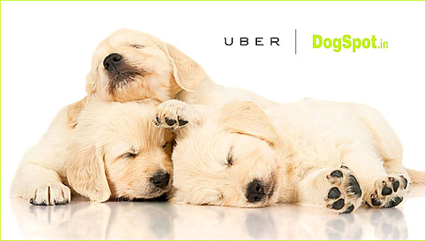 UBER-OFFERS_EMBED1_af0e77a0-72b3-48d5-b96b-b6b0a8070bdcwallpaper1.jpg