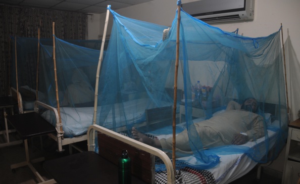 Dengue_patients_mosquito nets Photo: Muhammad Reza/Anadolu Agency/Getty Images