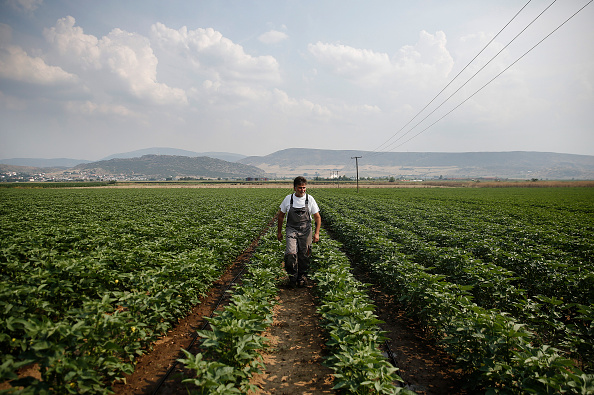 Farmer_Simon Dawson/Bloomberg via Getty Images