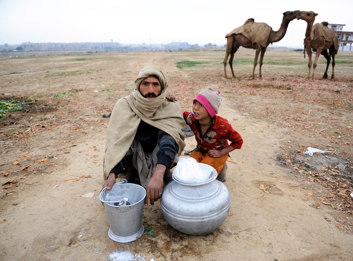 India Tales. Camel milk lassi. Photo: Metin Aktas/Anadolu Agency/Getty Images)