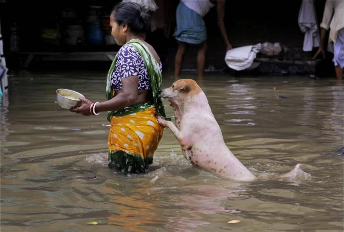 West Bengal Floods_PTI