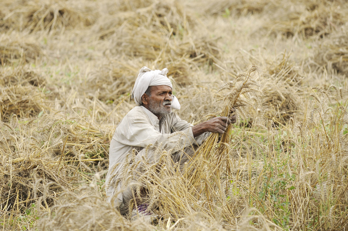 FADNAVIS-FARMERS_LEAD_GettyImages-469935586.jpg