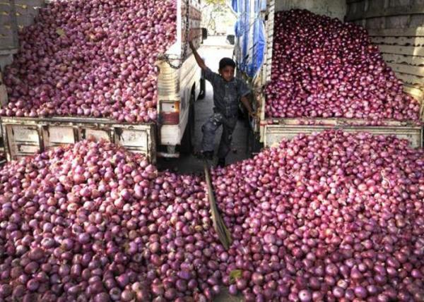 Onions_wire_Patrika