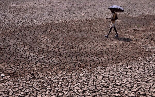 (Wire) Karnataka drought. AFP PHOTO/ASIT KUMAR