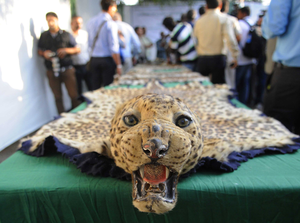 tiger parts_ Vipin Kumar/Hindustan Times/Getty Images) 