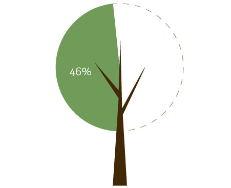 46% trees ICD