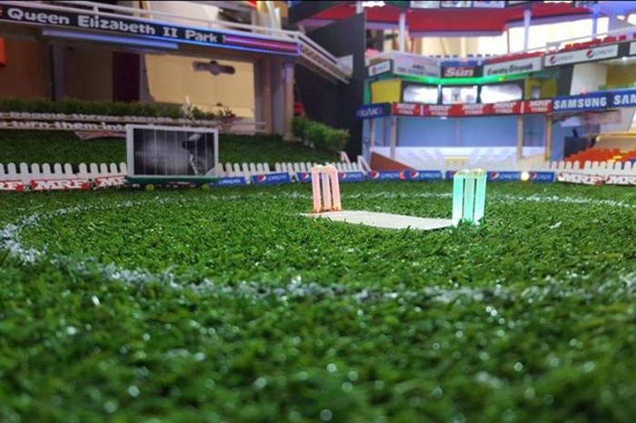 Miniature cricket stadium_Shaminder Singh/Facebook