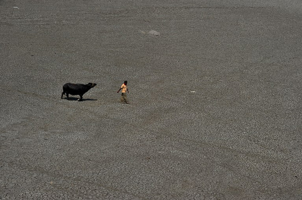 AFP  PHOTO/ Noah SEELAM