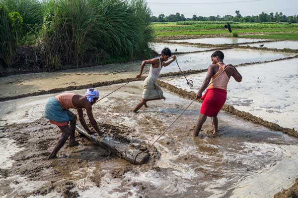 Farmers_Suicide_Getty Images_Wire