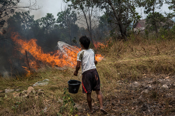 wire/forestfire/getty images