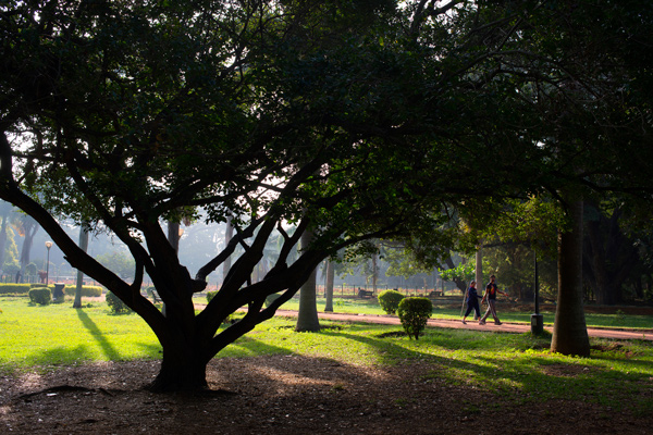 Green India/wire/Subhendu Sarkar getty