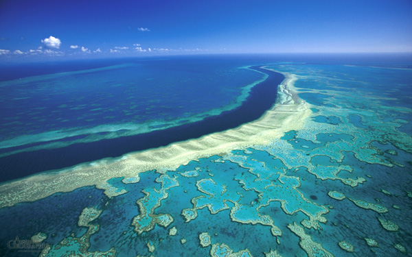 great barrier reef adani story