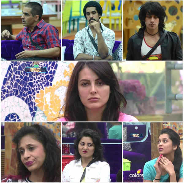 Bigg-Boss-9-contestants-colors