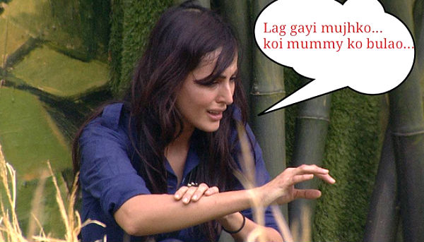 Mandana-Karimi-Bigg-Boss-Colors