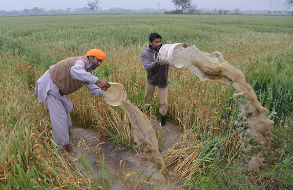 farming3