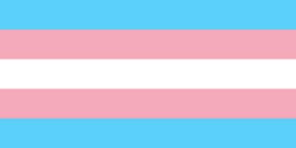 Transgender flag