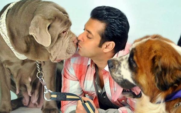 Salman and dogs (business of cinema). jpg