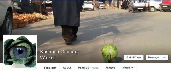 Kashmiri cabbage walker/ facebook