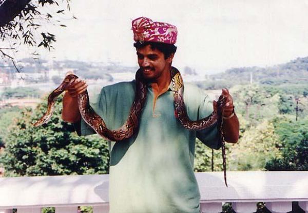 rahul-dravid-with-snake-6 . Rahul Dravid-The great wall of India fb page
