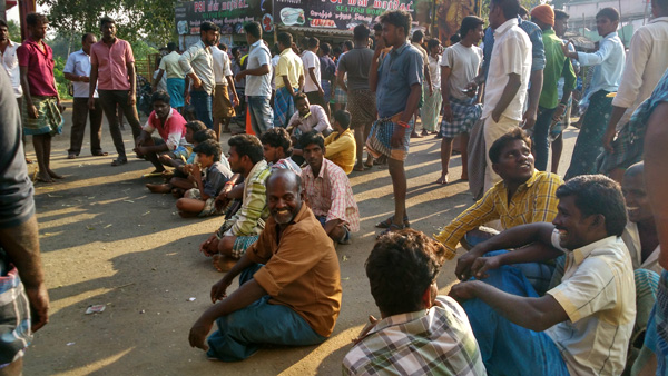 Jallikattu Protest_EMBED 1