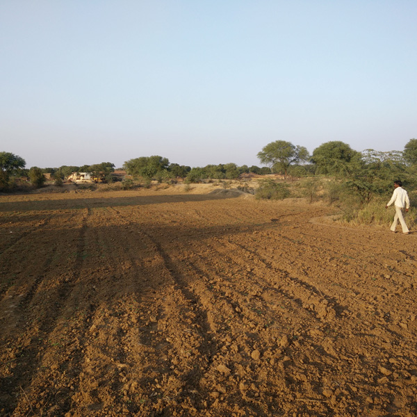 Bundelkhand 3
