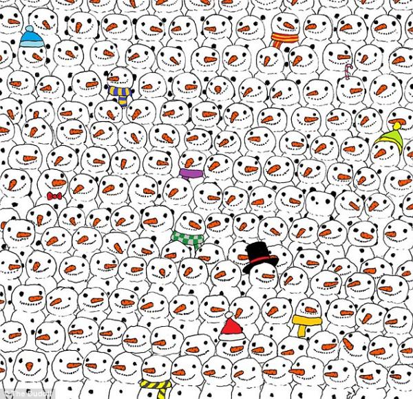 Panda embed 2.jpg