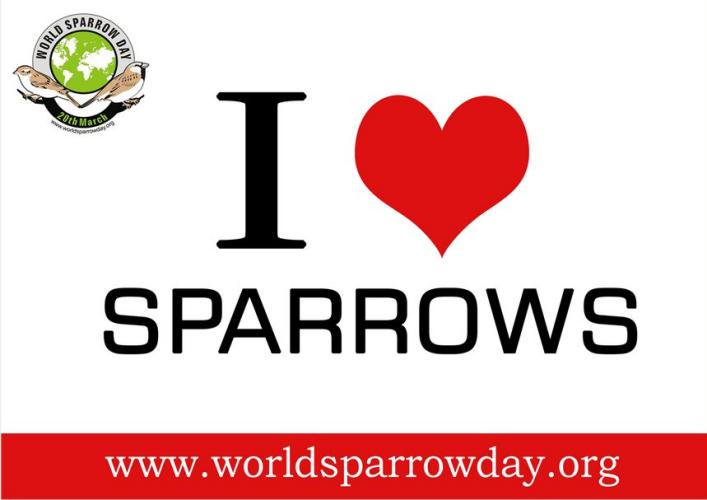 World sparrow day 2o March