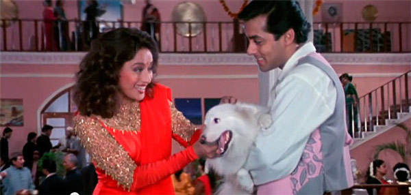 Train an animal to become your go-between hum aapke hain kaun