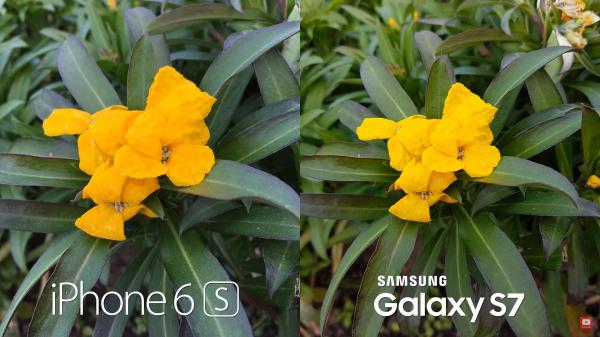 s7 - iphone camera- embed- softpedia.jpg