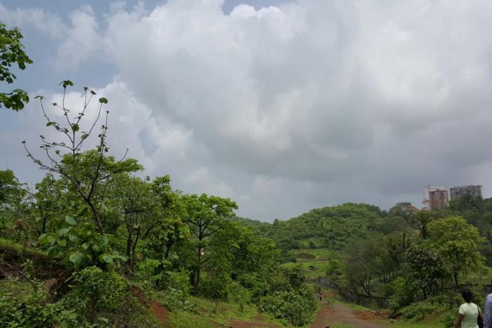 Aarey Colony 2