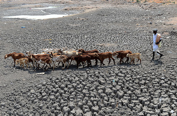 Drought_India_EMBED