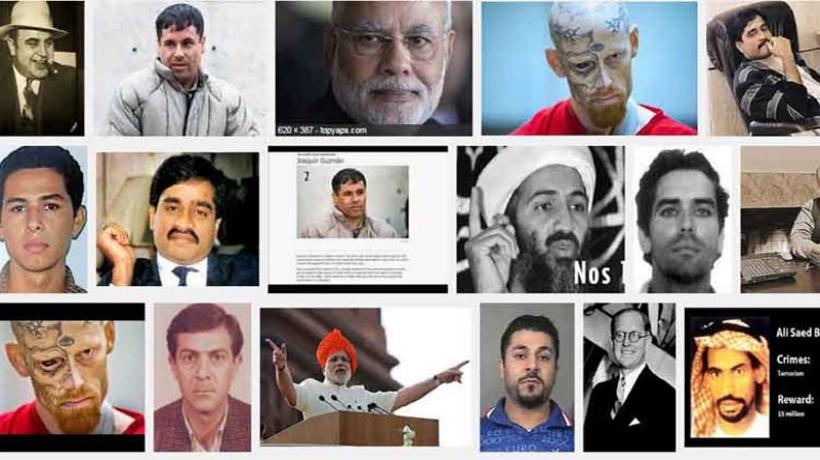 modicriminal.jpg