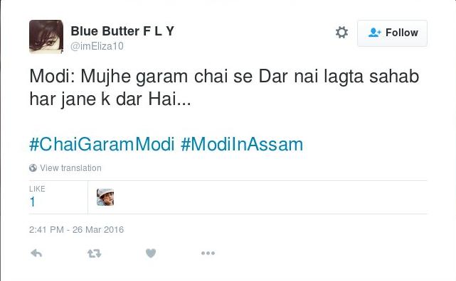modichai11.jpg