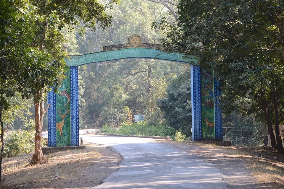 Chhatisgarh Achanakmar Forest