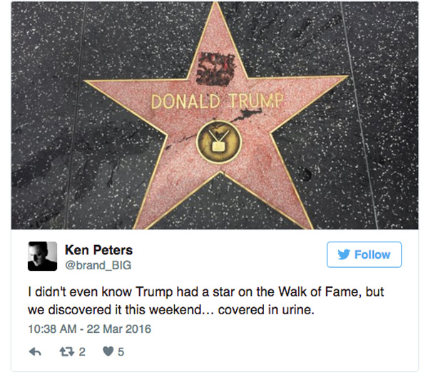 Donald Trump Hollywood star social media story 7