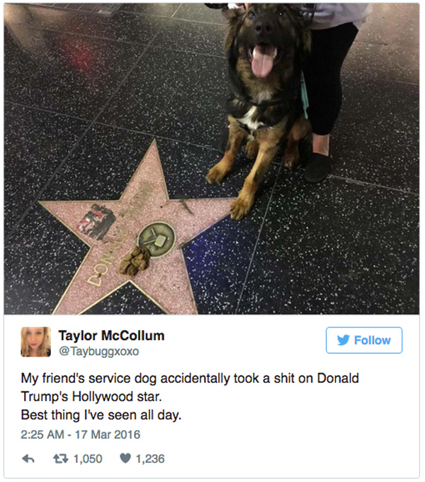 Donald Trump Hollywood star social media story 9