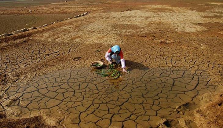 tamil-nadu-minister-officials-assess-drought-crop-loss-situation-in