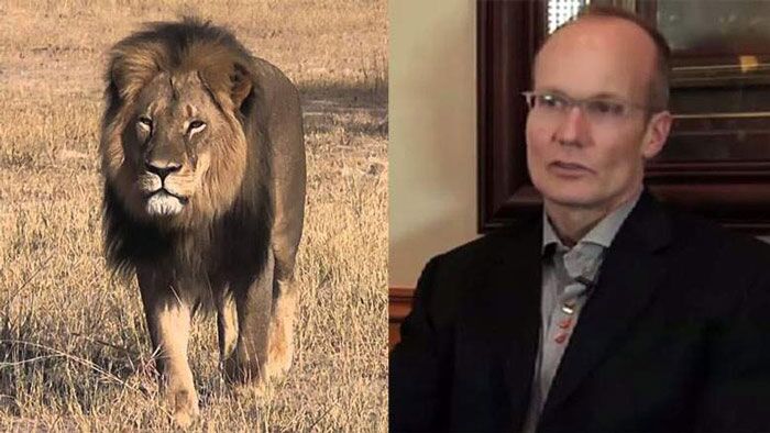 #CecilTheLion: Twitterati express anger over lion killing; petition reaches 1,30,000 signatures 